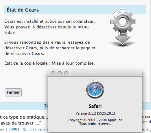 WordPress passe la seconde avec Gears sous safari !